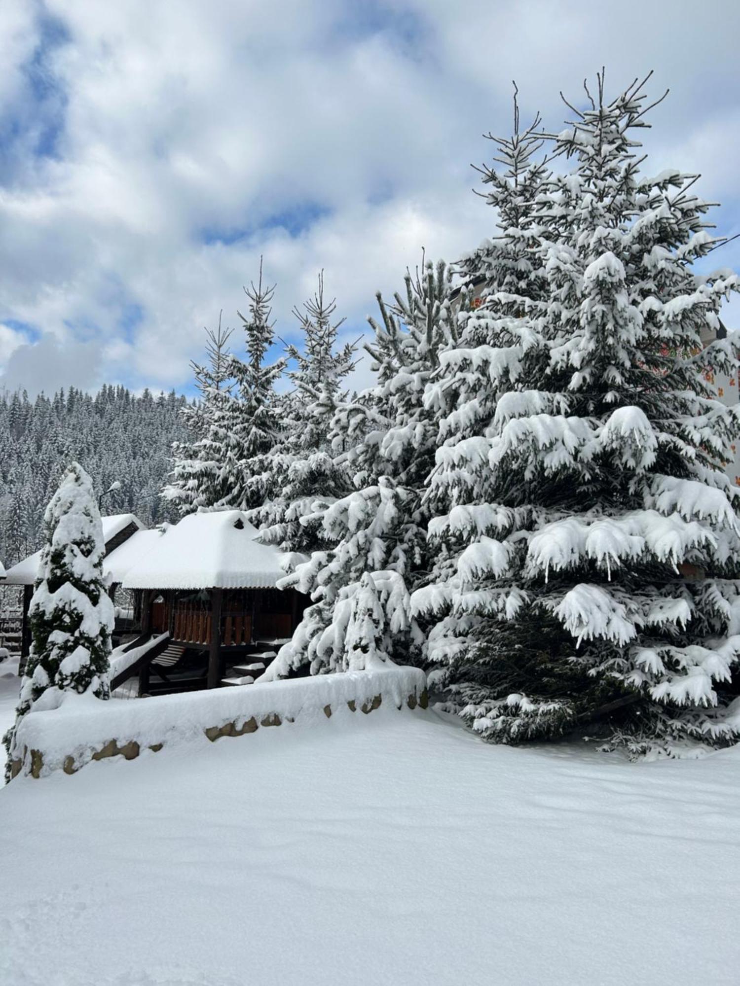 Guest House Kaspiy Bukovel Extérieur photo