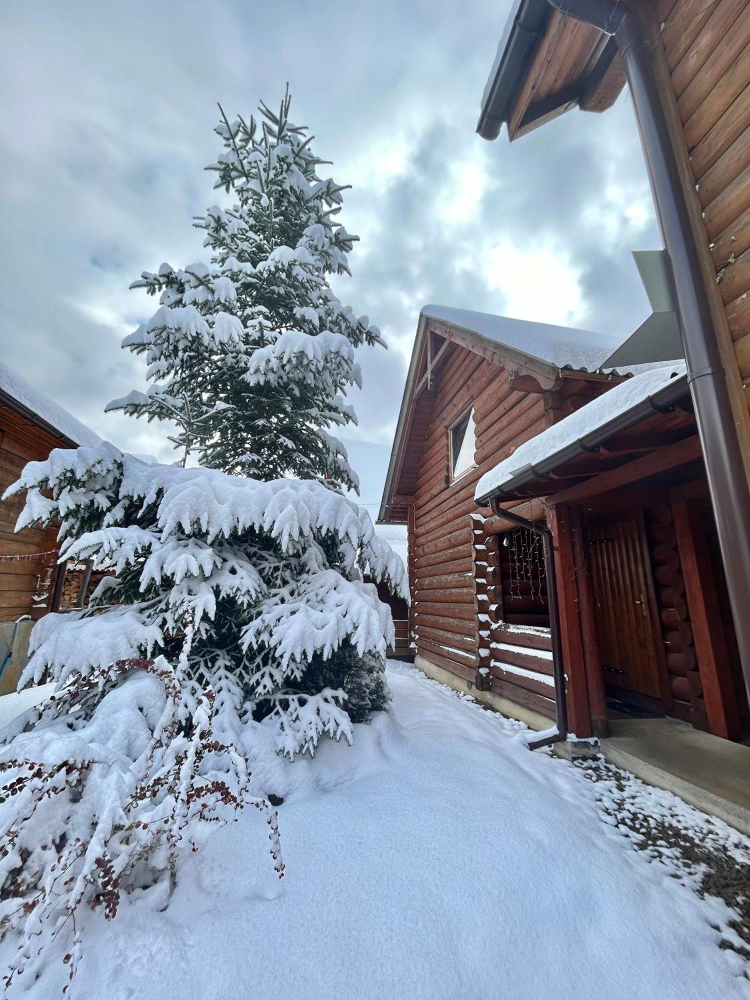 Guest House Kaspiy Bukovel Extérieur photo