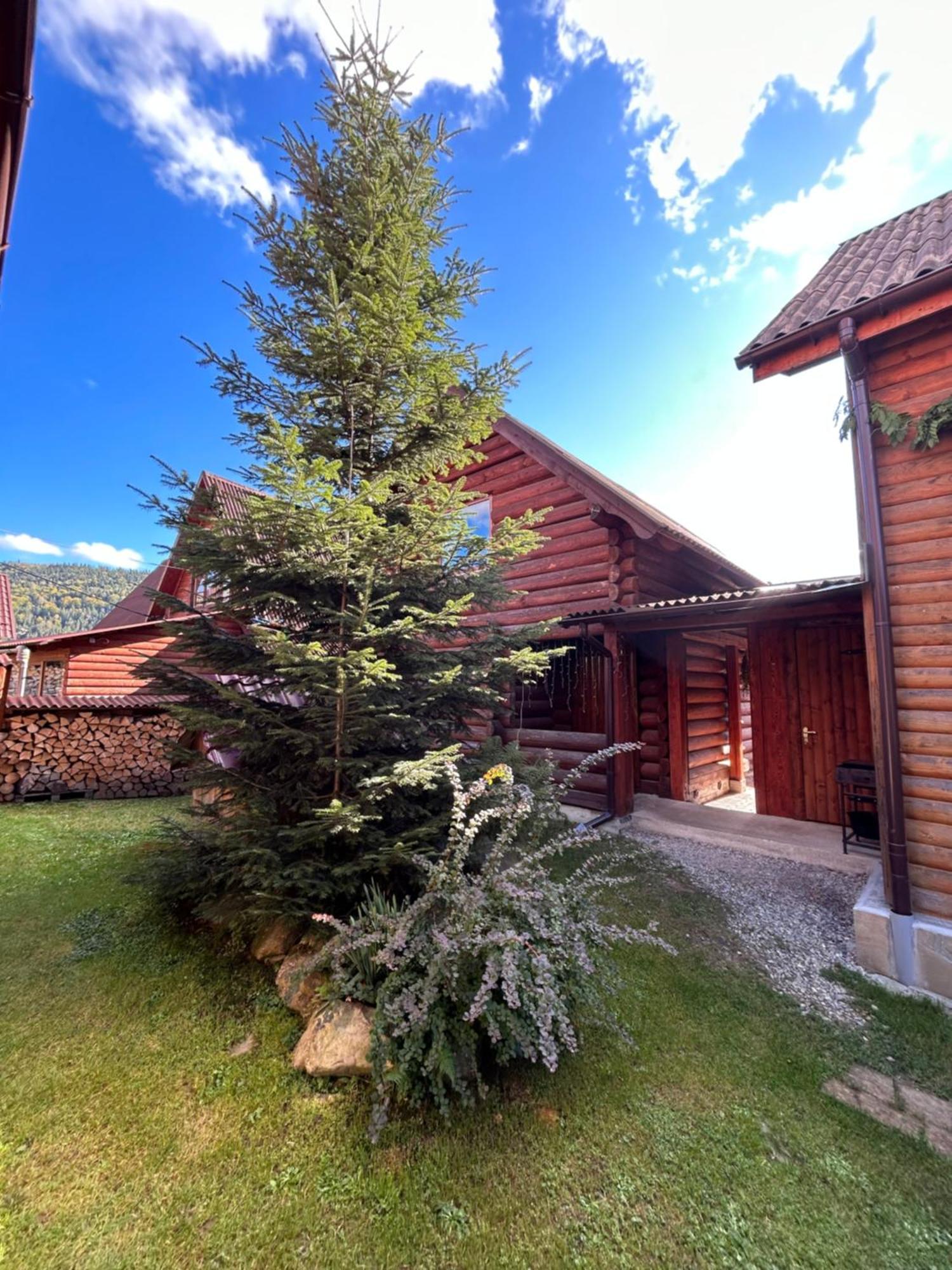 Guest House Kaspiy Bukovel Extérieur photo